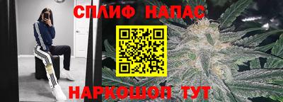 гашик Ликино-Дулёво