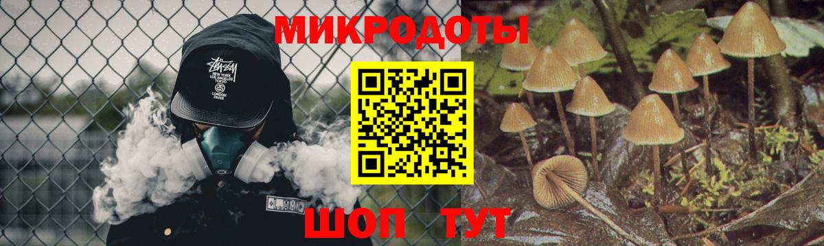 Димитровград  Псилоцибиновые грибы ЛСД  Вход с VPN 